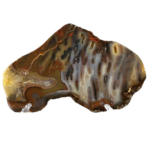 Polished Agate Slice from Brazil 2