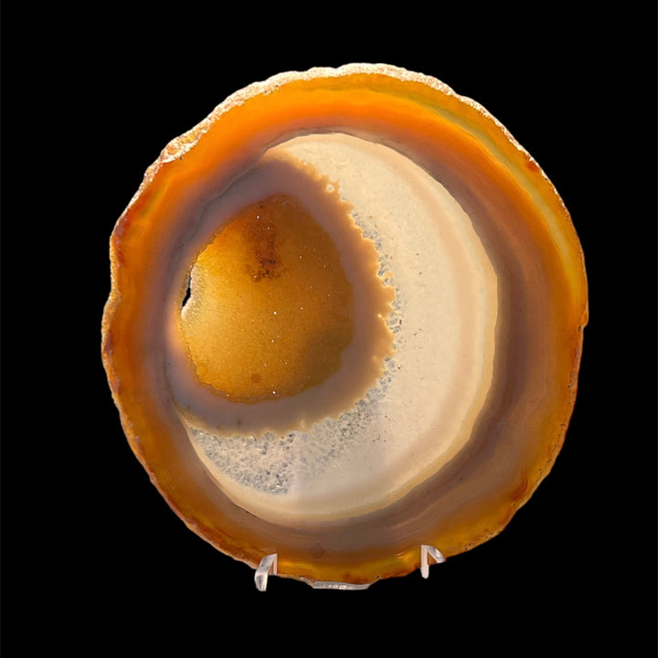 Brazilian Agate Slice M18S260-4