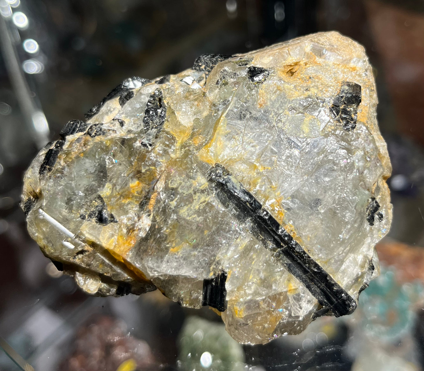 Schorl black tourmaline in a Brazil quartz C22