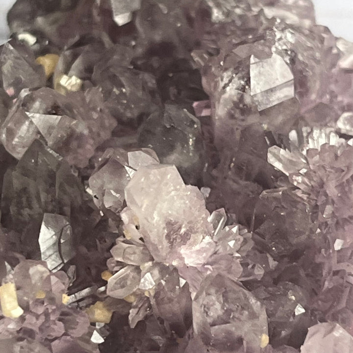 Quartz variety amethyst of Mexico Guanajuato DR126