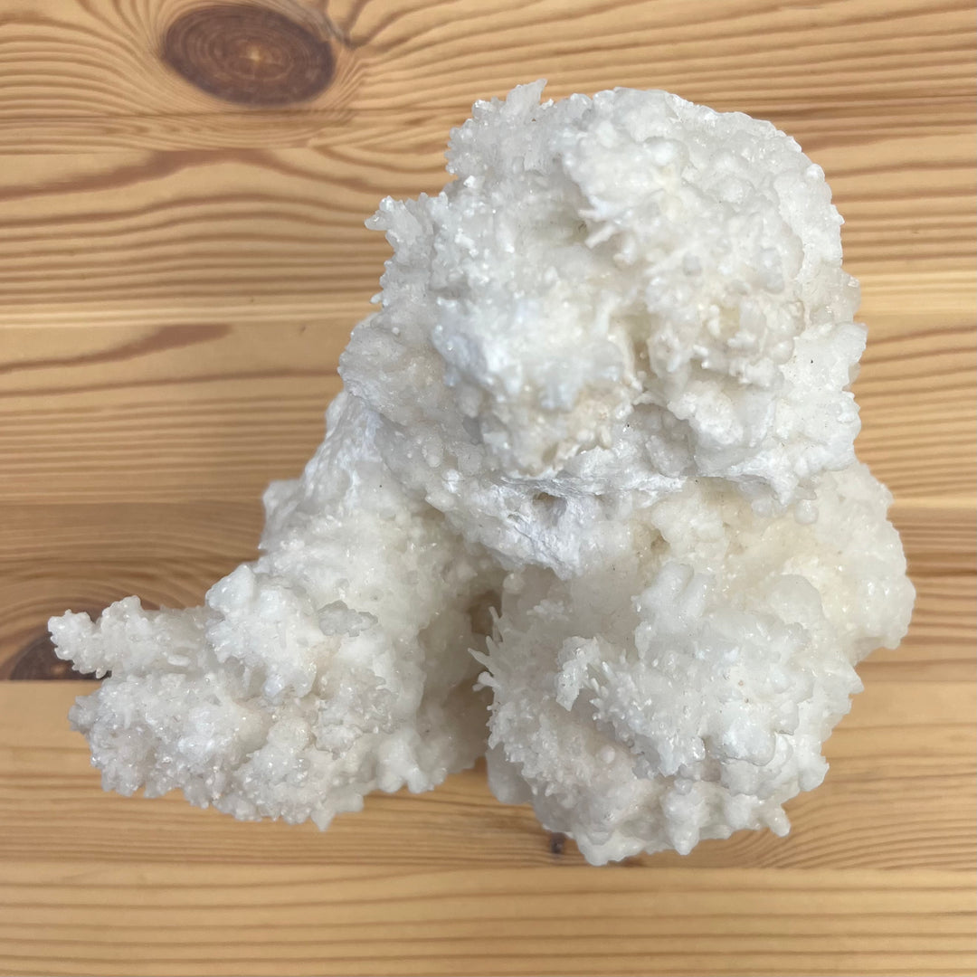 Aragonite var Flos Ferri 16cm DR15