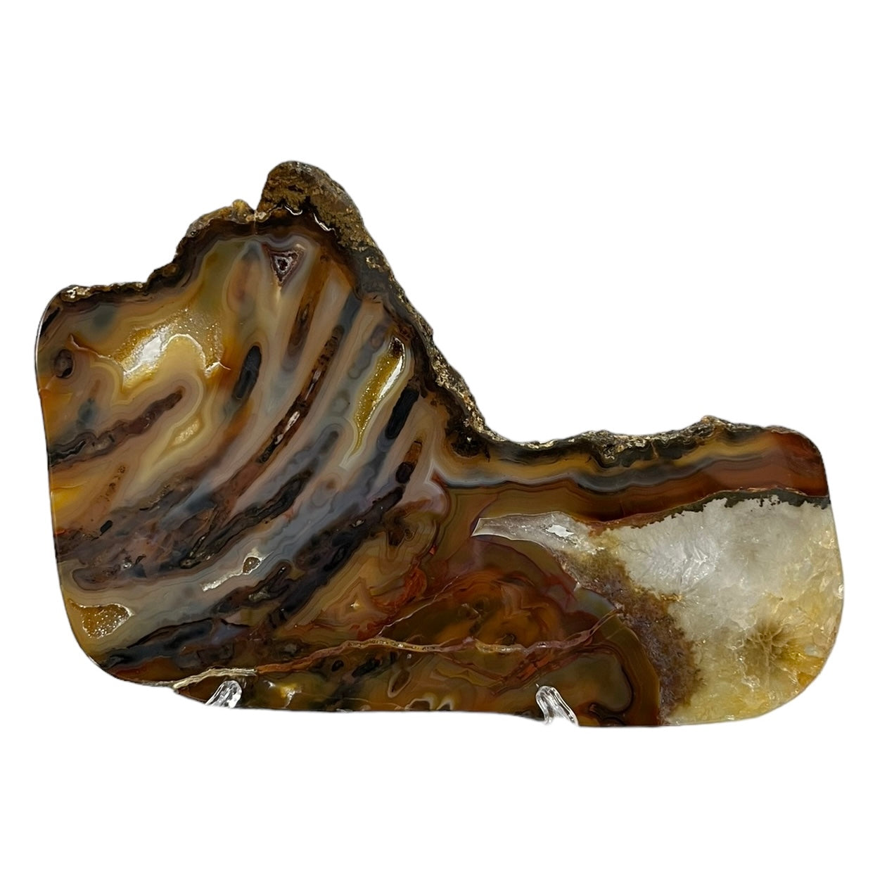 Tranche Agate polie du Brésil 3