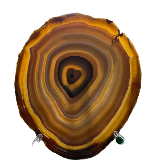 Polished Agate Slice from Brazil M18S256