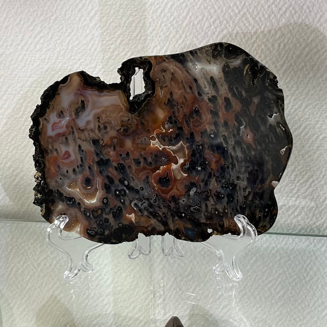 Polished Agate Slice from Brazil 1