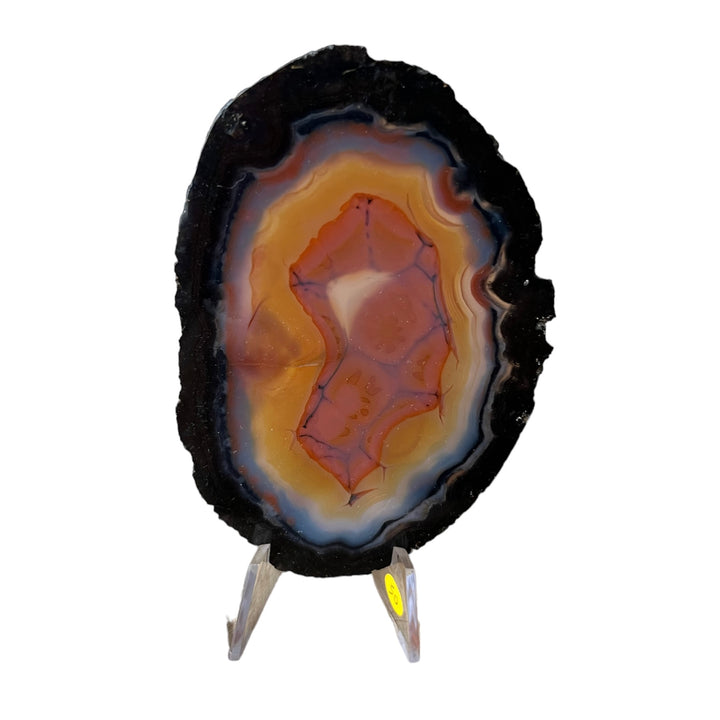 Brazilian Agate Slice DB163