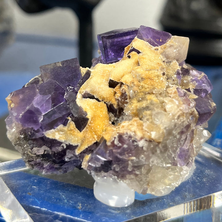 Fluorit Ghost und Quarz Berbes Asturias Spanien FLS38