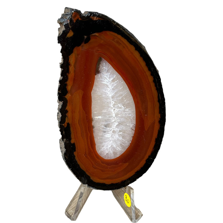 Brazilian Agate Slice DB147