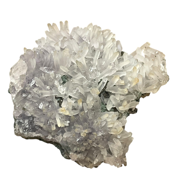 Pseudo de gypse décomposition de la pyrite France C100