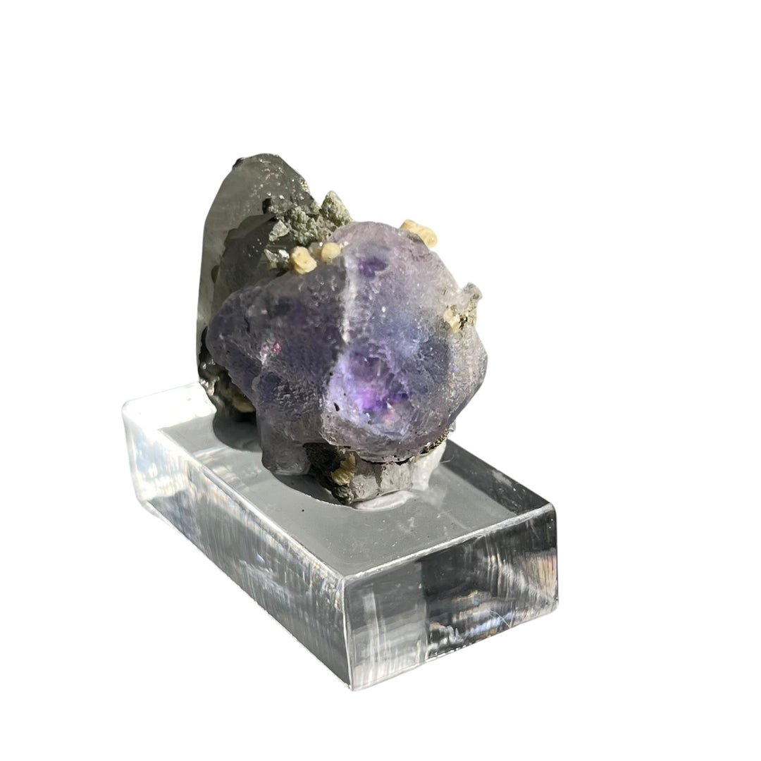 Fluorite avec fantômes quartz Panasqueiras  Portugal PNQ37