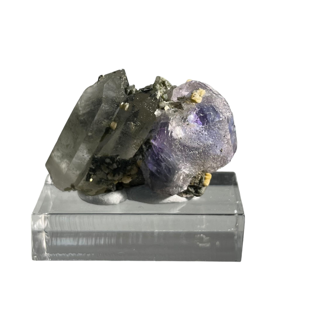 Fluorite avec fantômes quartz Panasqueiras  Portugal PNQ37