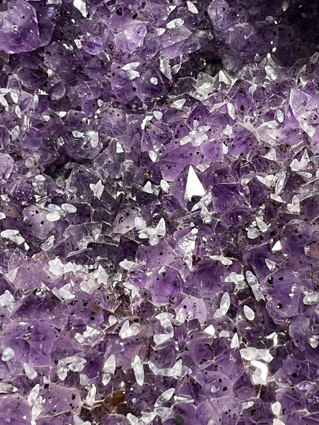 Geode Amethyst，带有巴西的Gothite和金红石和金红石包裹物