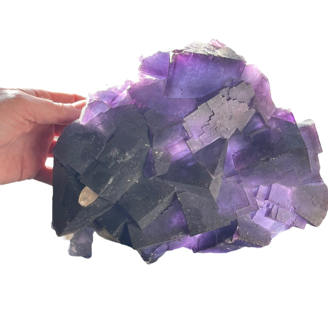 Fluorit Violette Zonée mit Calcit Denton Mine Illinois USA DB13