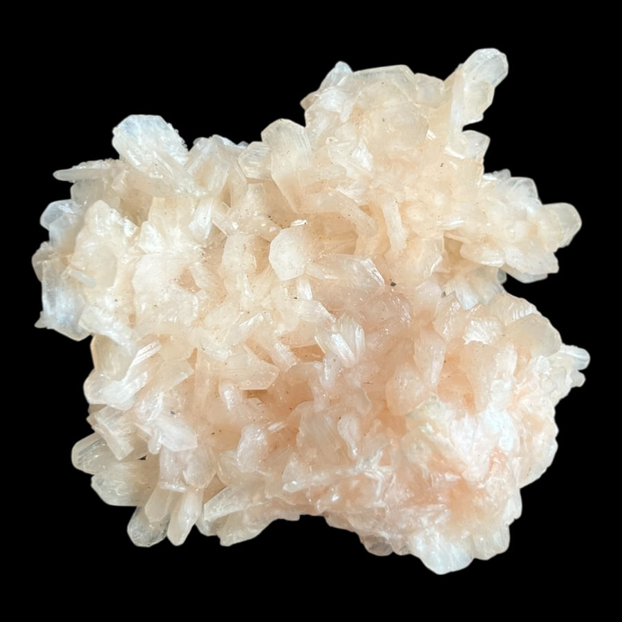 Stilbite pêche sur apophyllite Inde 