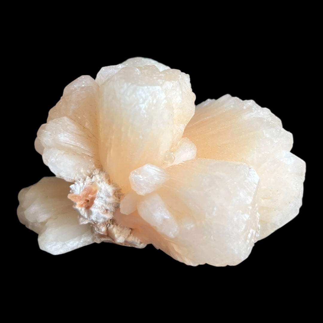 Heullerite Heullandite на Mordénite Maharashtra India DW147