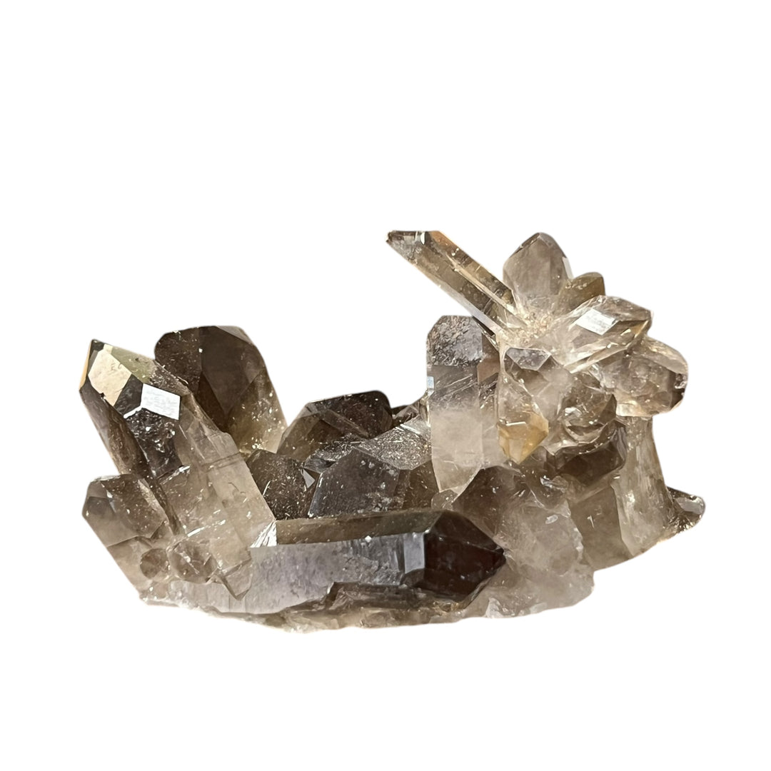 Smoky Quartz Brazil QTZ16