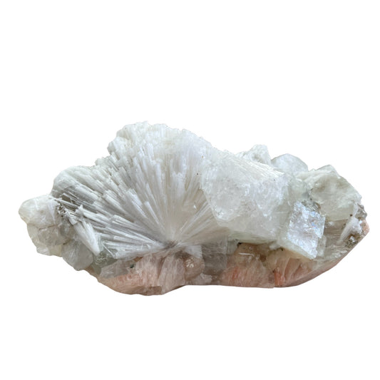 Scolecite sull'apofilite Maharashtra India M18W888