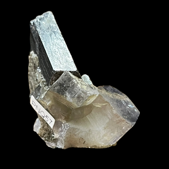 Ferberite ( wolframite) Fluorapatite Panasqueiras Portugal PNQ57