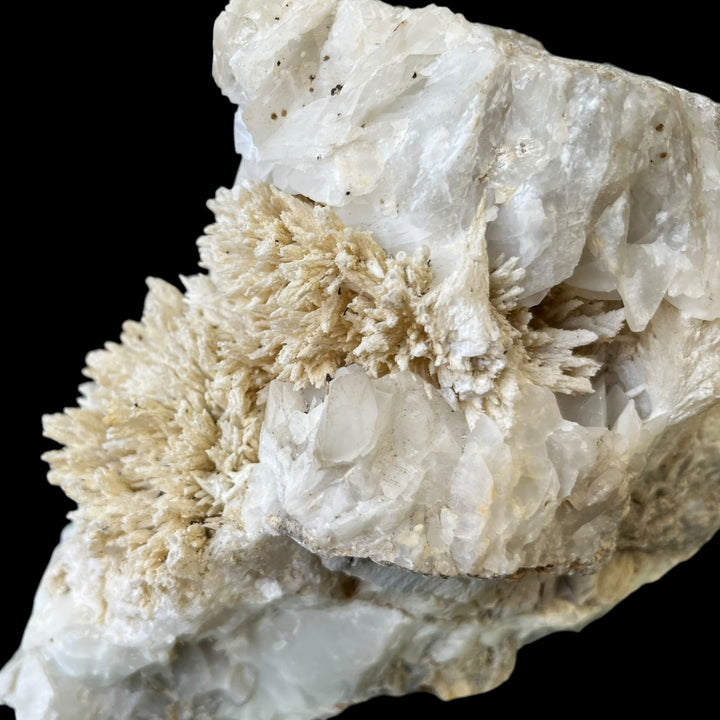 セルスチンと方解石のeyguiansフランスDB23