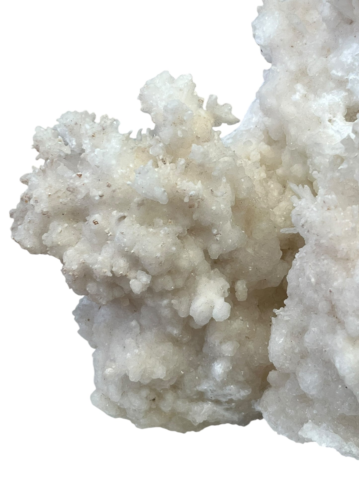 aragonite var flos ferri 16cm dr15