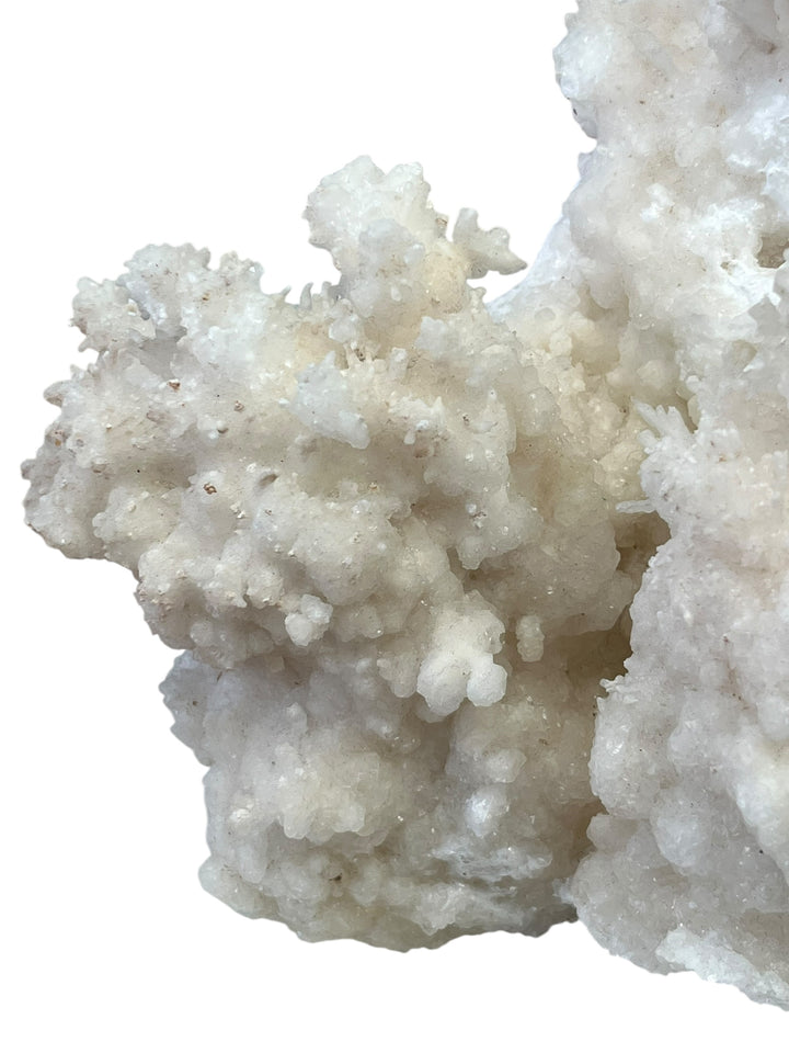 Aragonite var Flos Ferri 16cm DR15