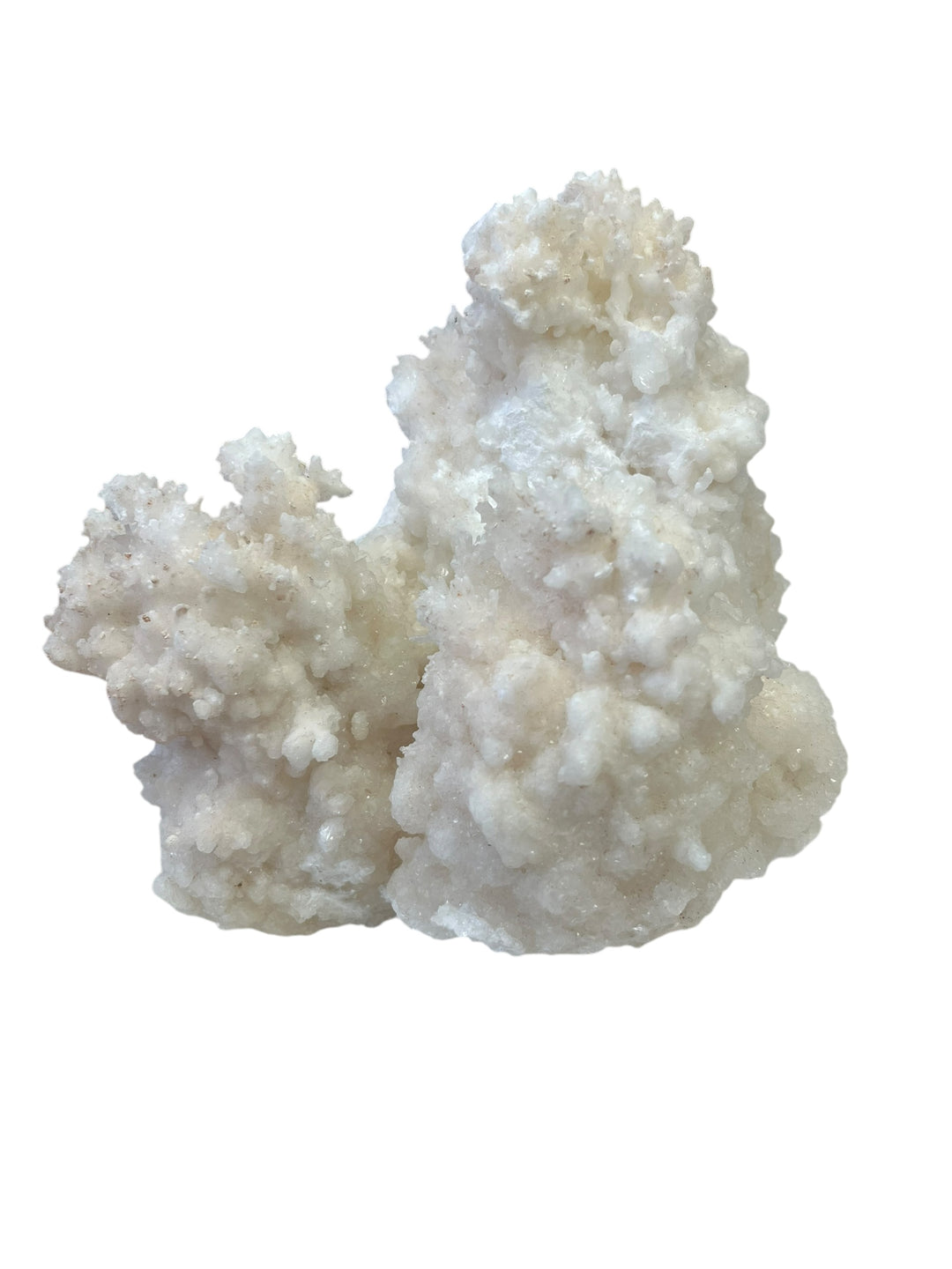 Aragonite var Flos Ferri 16cm DR15