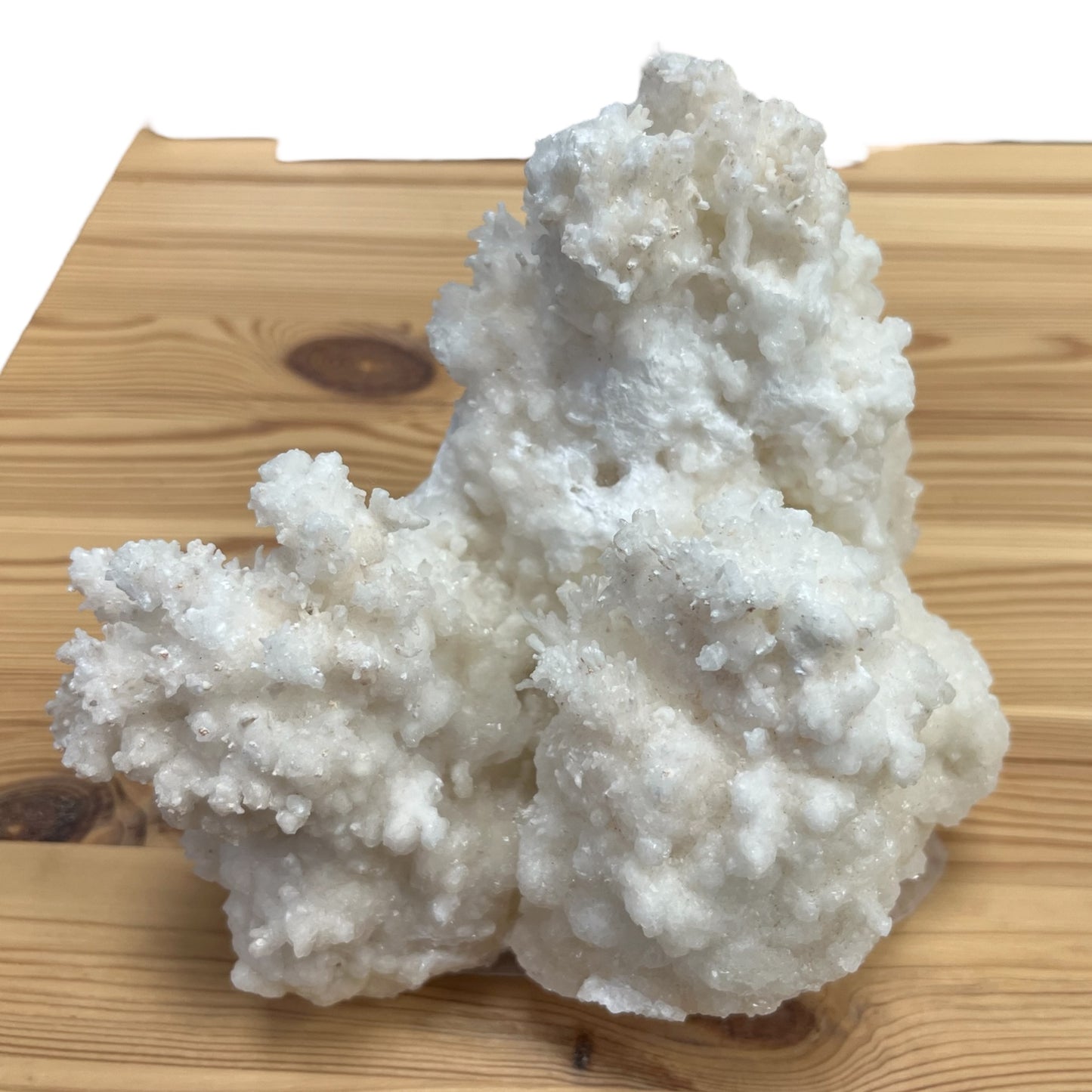 aragonite var flos ferri 16cm dr15