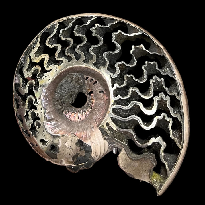 Ammonite pyritisée de Russie, 90x78 mm, polie, #4