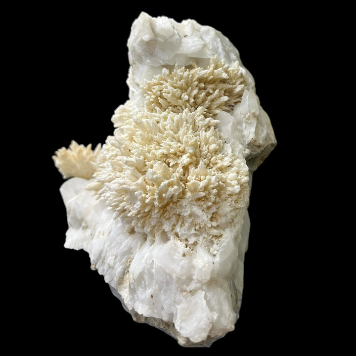 セルスチンと方解石のeyguiansフランスDB23