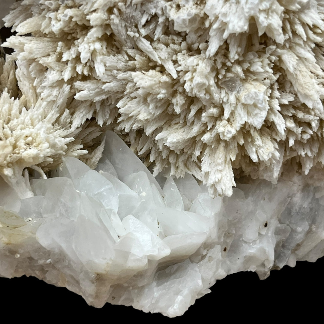 セルスチンと方解石のeyguiansフランスDB23