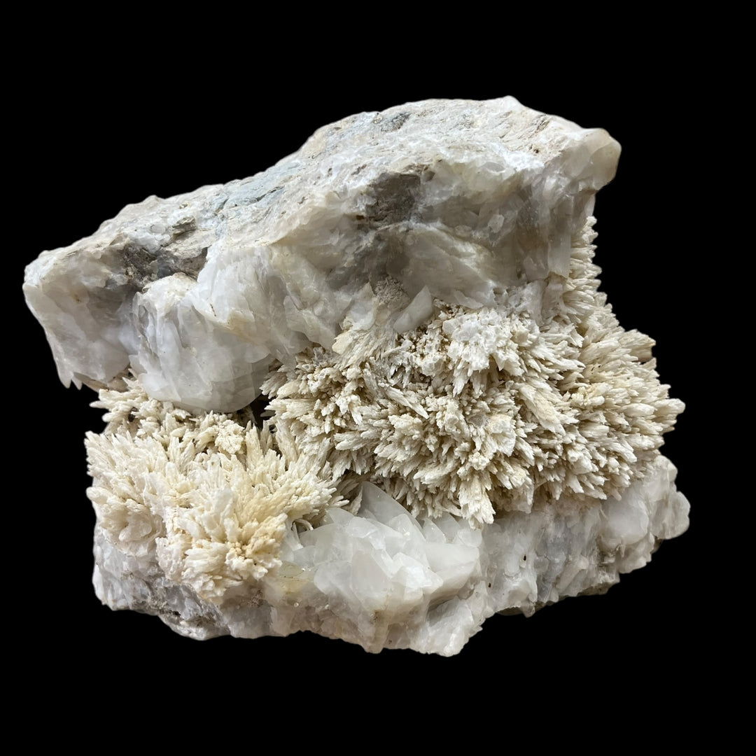 セルスチンと方解石のeyguiansフランスDB23