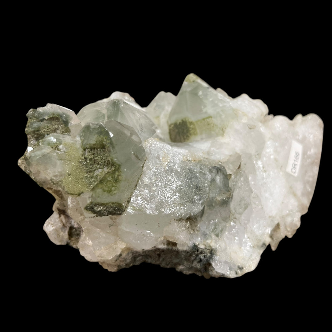 Quartz Chloriteux Les 2 Alpes France DR166