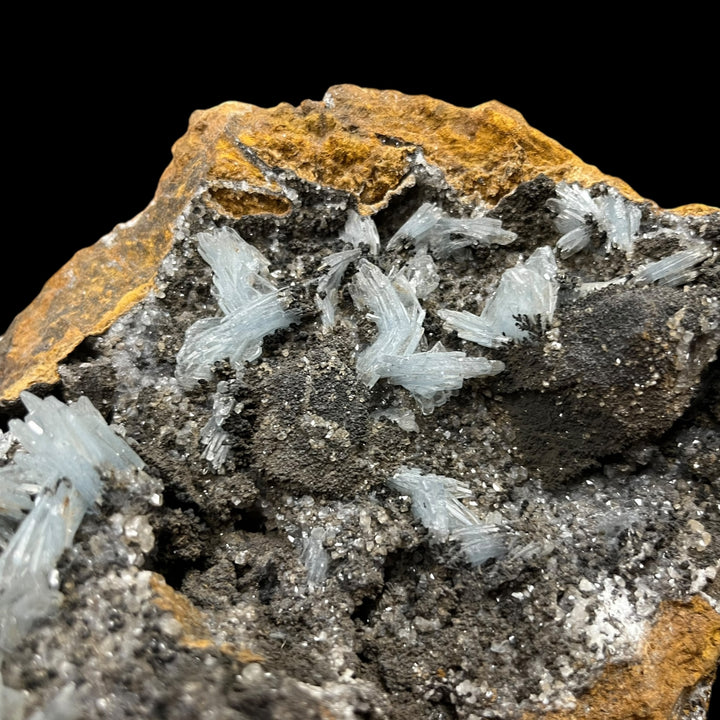 Blue Baryte Nador Maroc M18W136