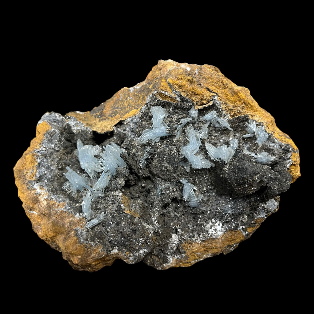 Blauer Baryte Nador Maroc M18W136