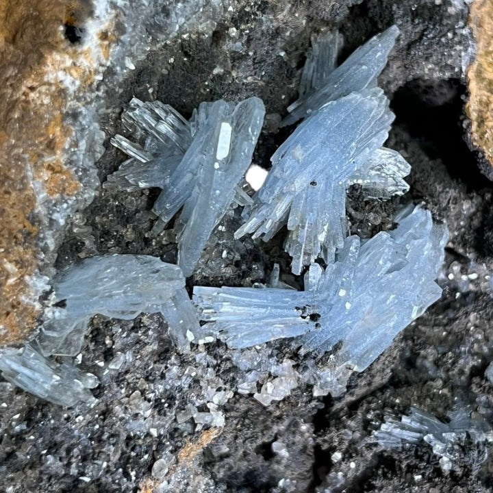 Baryte bleue Nador  Maroc M18W136