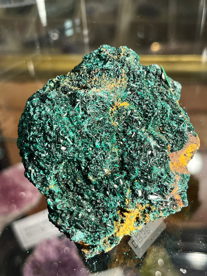 Brochantite Morocco DR38