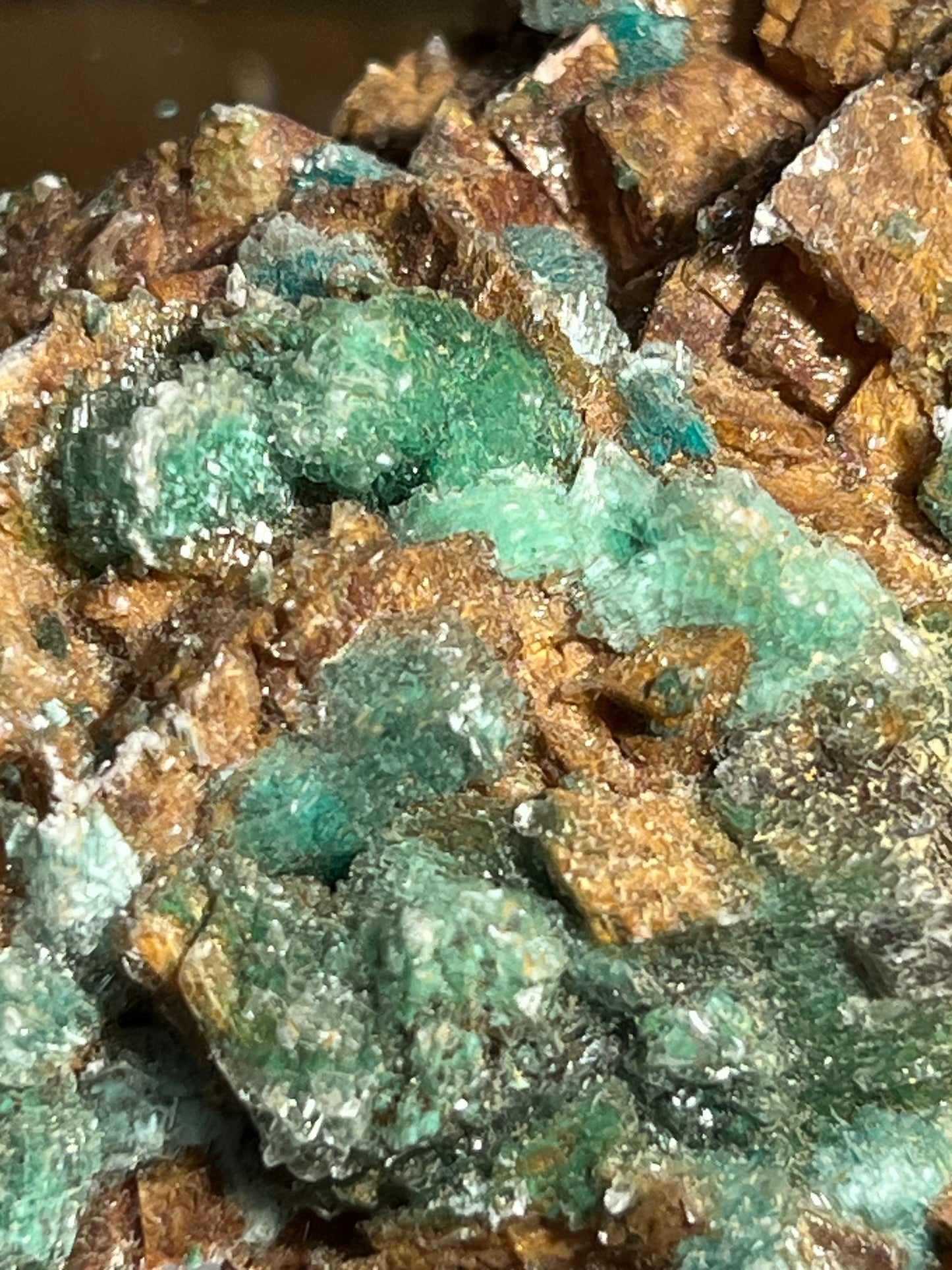 Devilline sur cobaltocalcite Bou Beker Maroc DR14