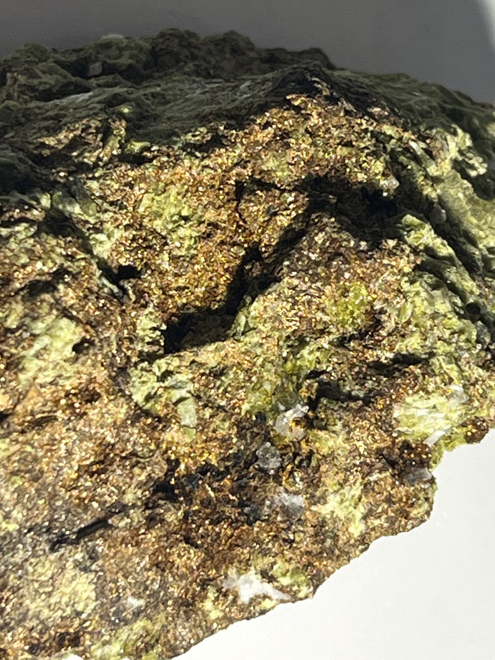 Stilpnomelane epidote Mont Chemin Martigny Valais Suisse DR72