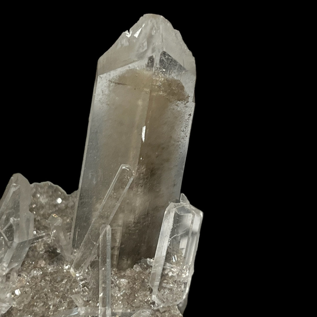 石膏Selenite Saxony Anhalt德国M18W78