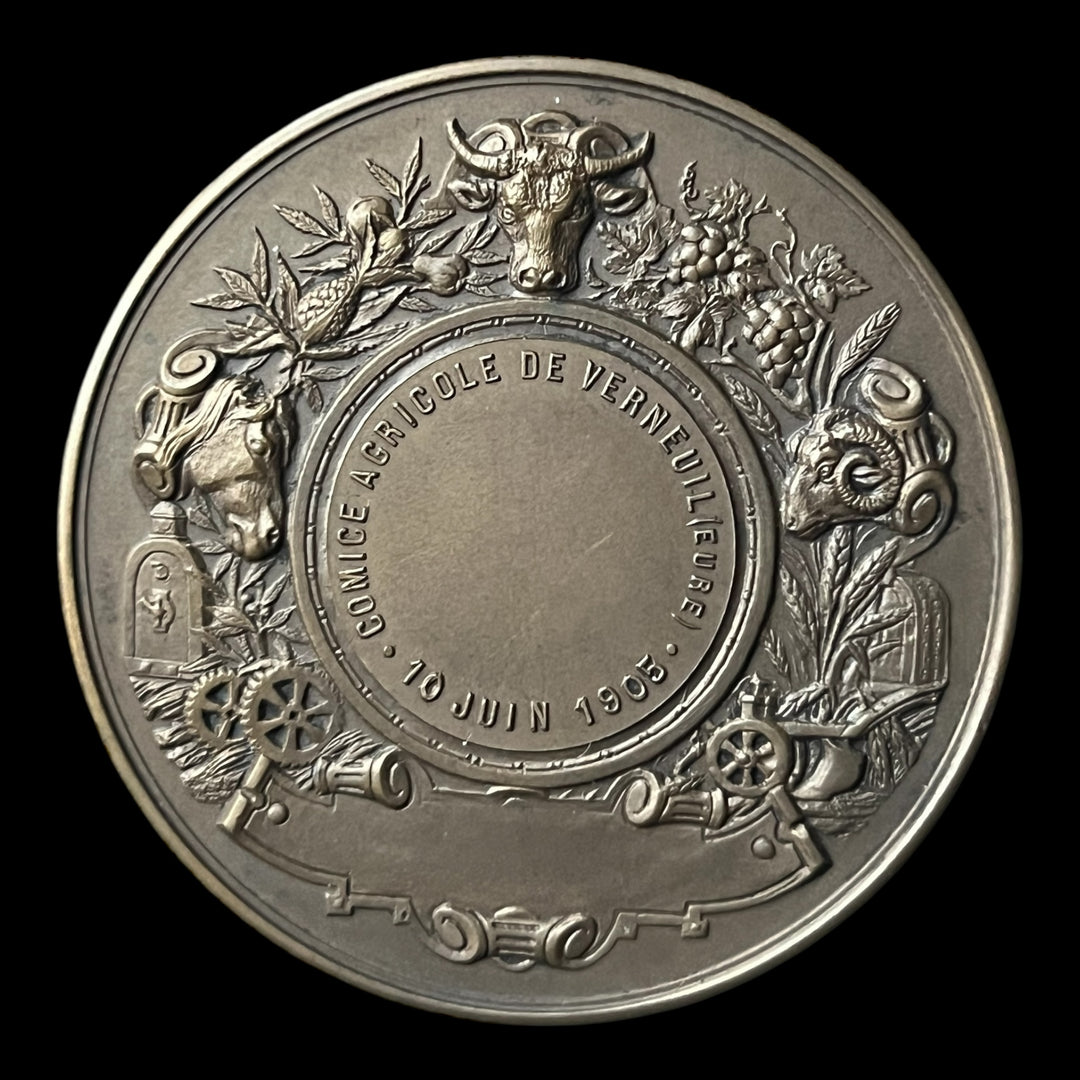 Médaille bronze comice agricole de Verneuil (eure)  par Pillet