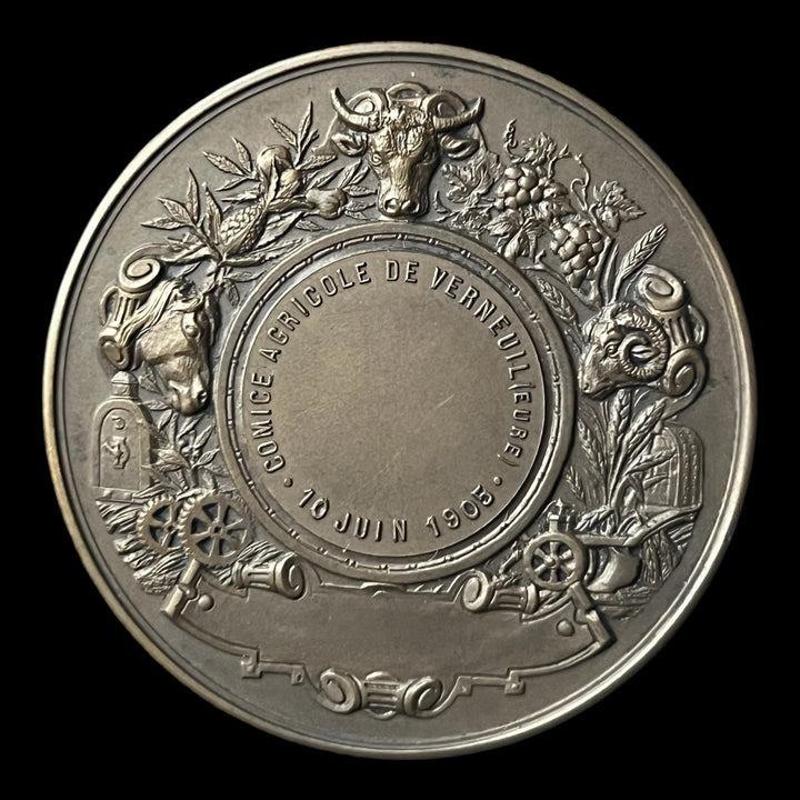 Médaille bronze comice agricole de Verneuil (eure)  par Pillet
