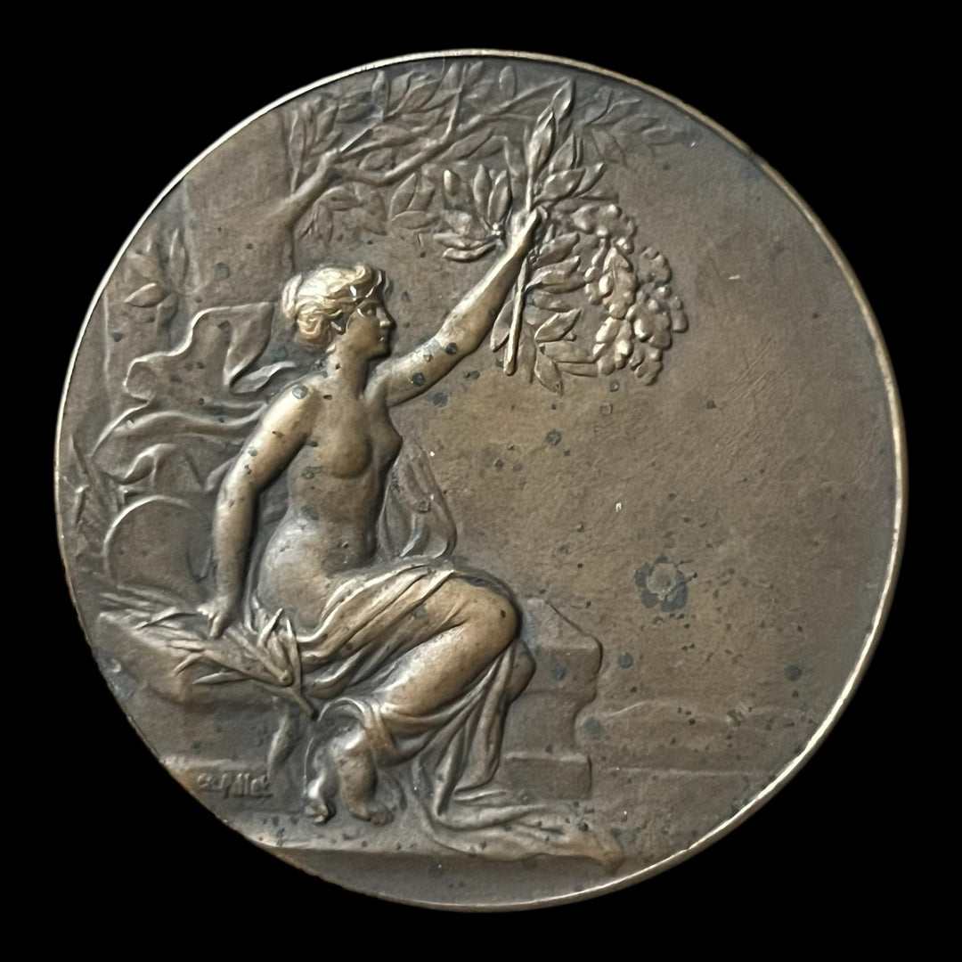 Médaille bronze comice agricole de Verneuil (eure)  par Pillet