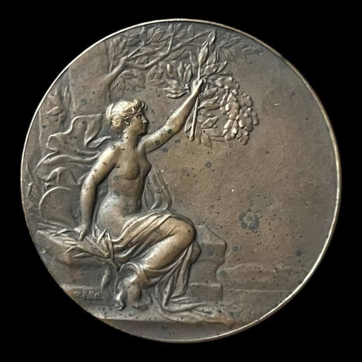 Médaille bronze comice agricole de Verneuil (eure)  par Pillet