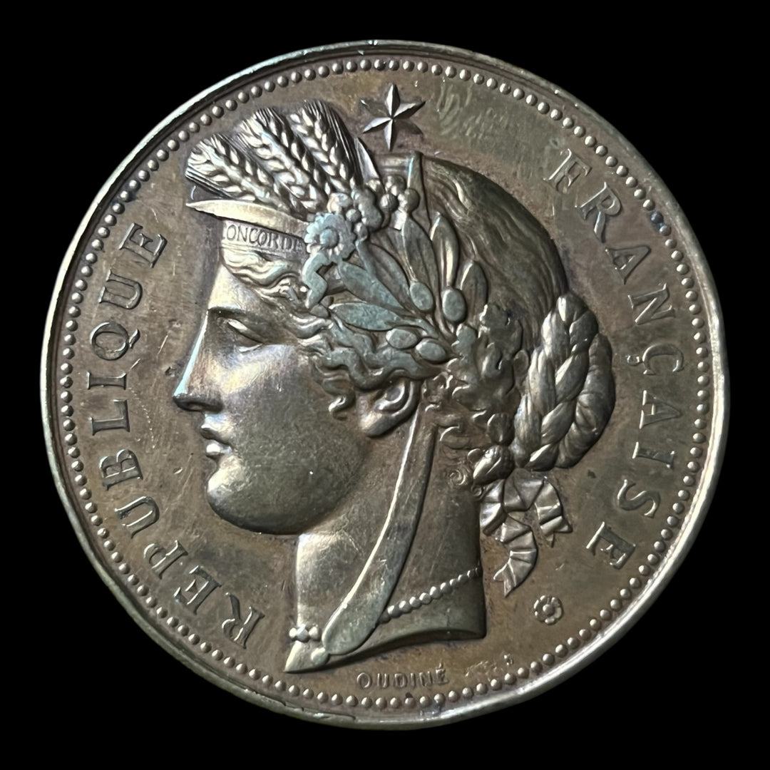 Médaille bronze Palais du Trocadéro expo universelle 1878