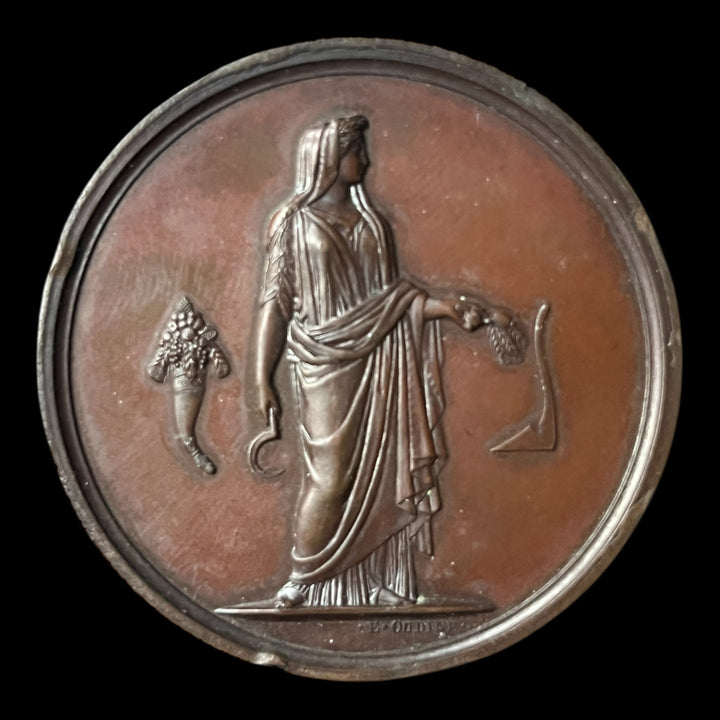 Medaille cuivre concours de taille Viticulture de Lyon