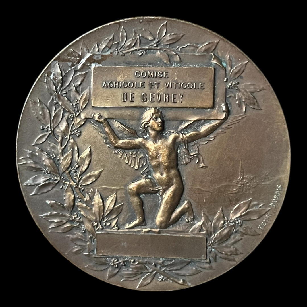 Médaille bronze comice agricole et viticole de Gevrey par Dupuis