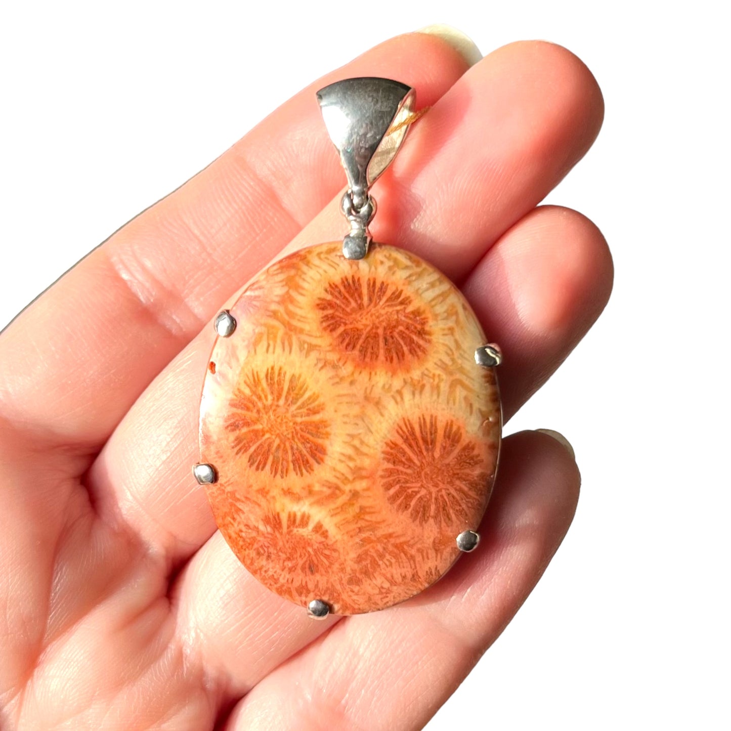 Pendentif en argent avec corail fossilisé  PS066