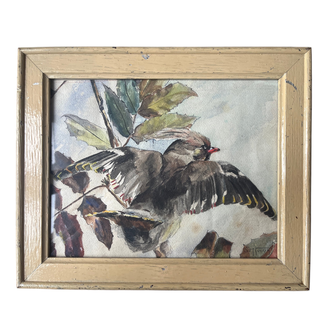 Pastel d’un oiseau par Suzanne-Marie Guerin