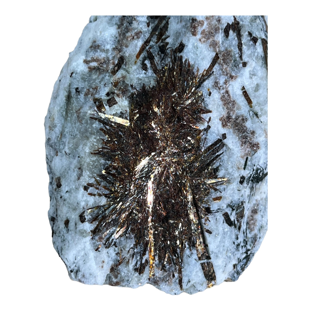 Astrophyllite péninsule de kola DA256 229g