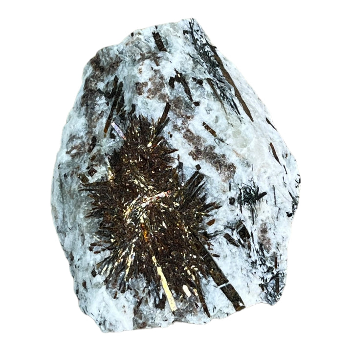 Astrophyllite péninsule de kola DA256 229g