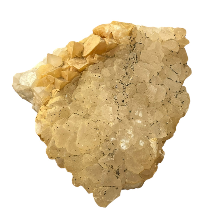 CALCITE 2 generations Holzen Allemagne M18W26